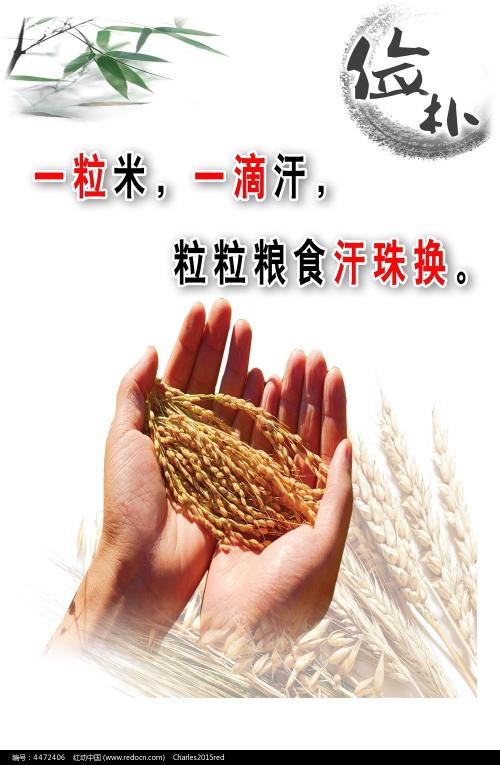 密歇根大学金融文凭证书